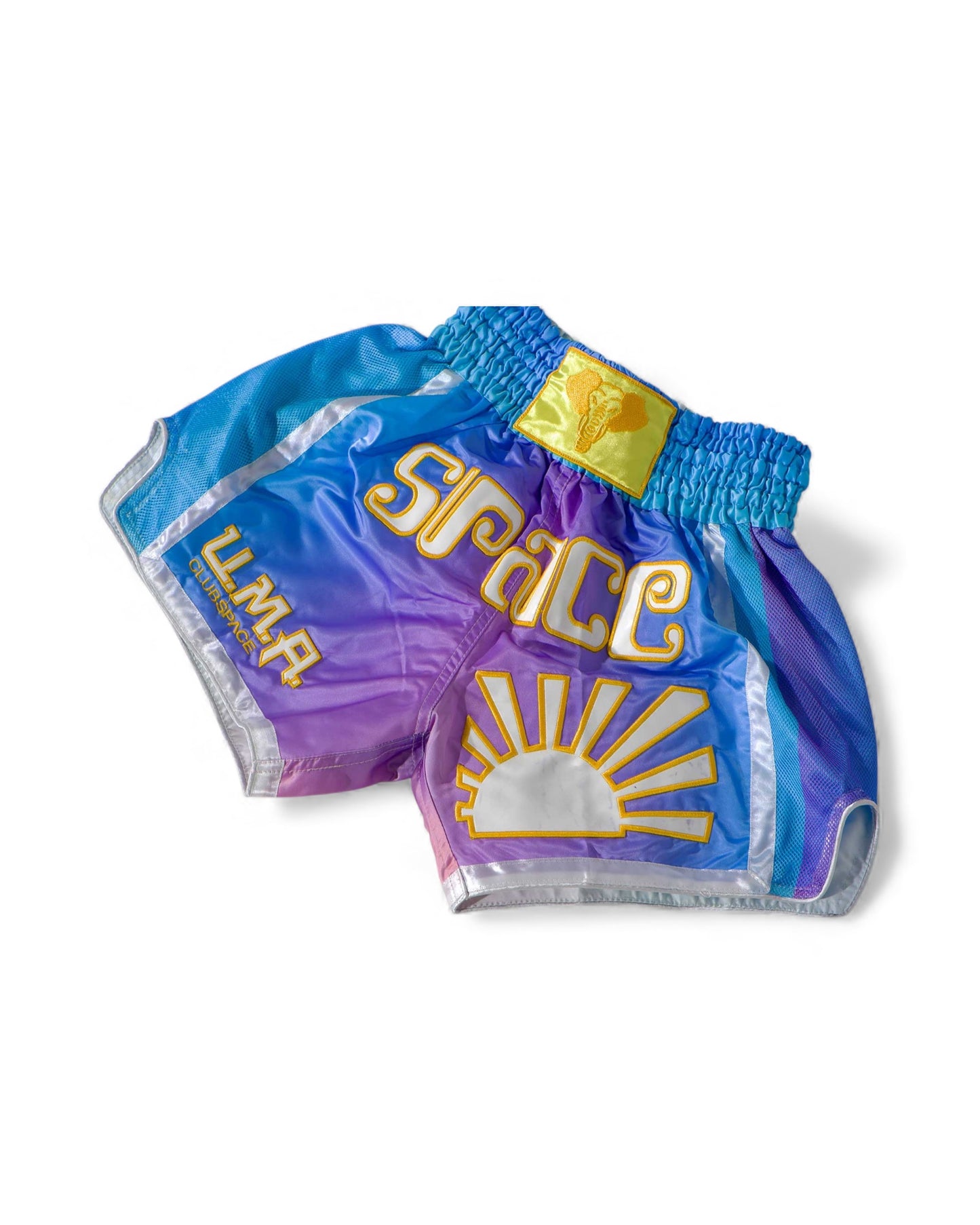 Space Muay Thai Shorts (Rainbow)
