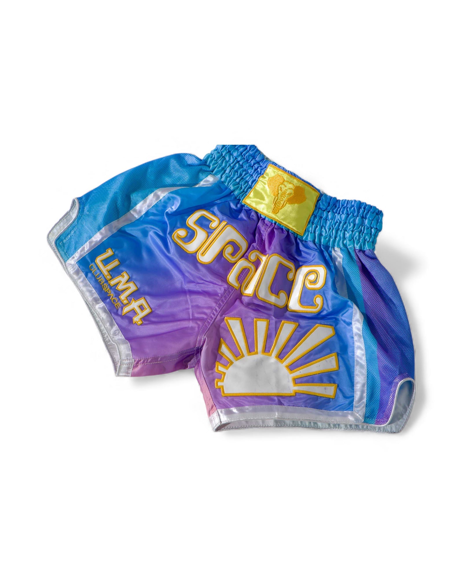 Space Muay Thai Shorts (Rainbow)