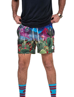 Euphoria Space Shorts